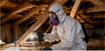 Technician inspecting timber framing in an attic